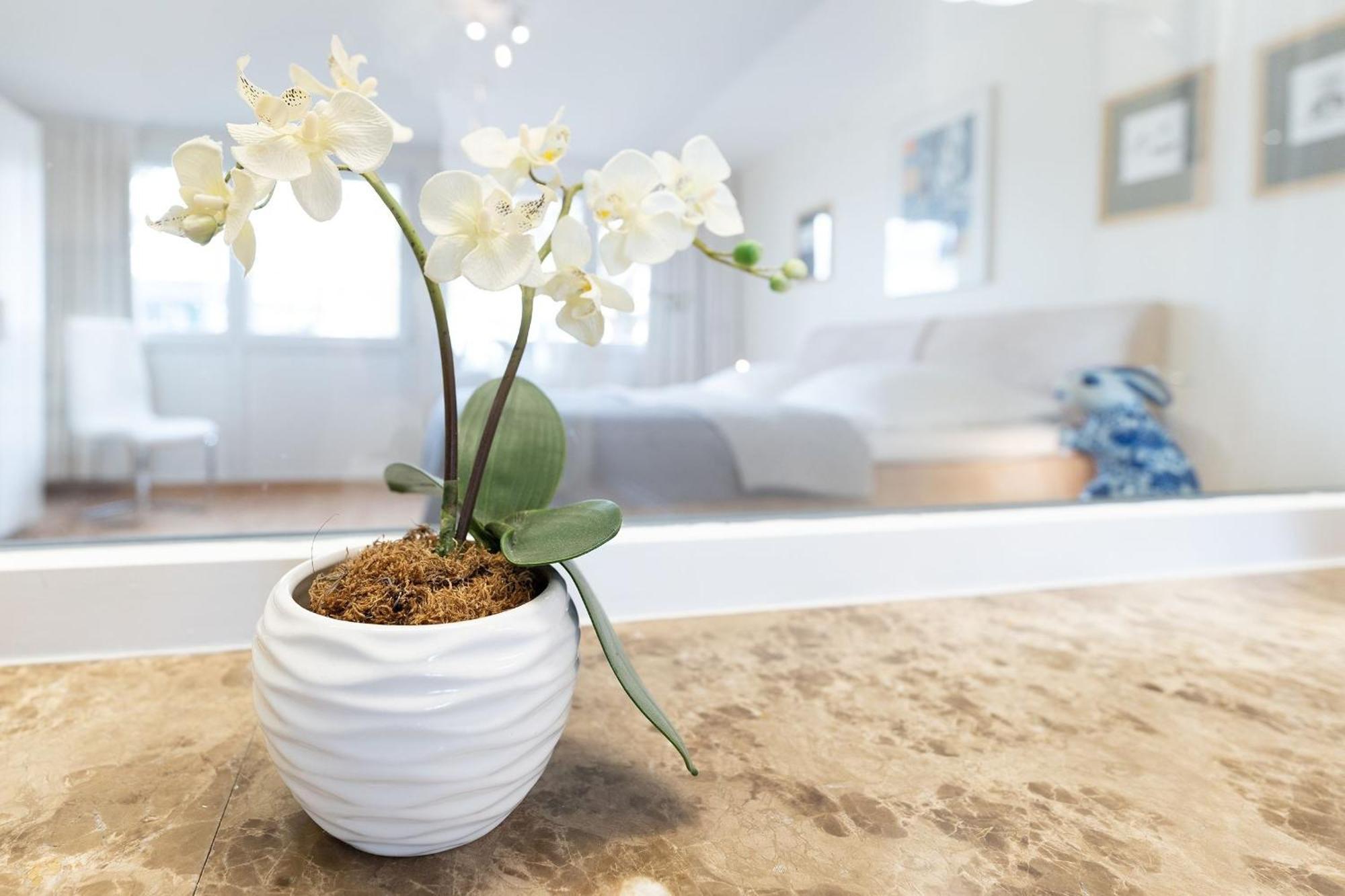 Haus Eva Mar Am Meer Appartement 1 Тиммендорфер-Штранд Экстерьер фото